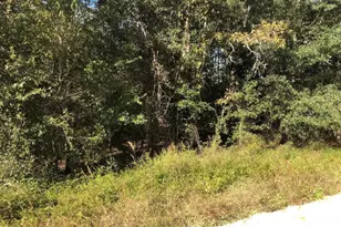 0 Evans Ave, Interlachen, FL 32148 - Photo 1