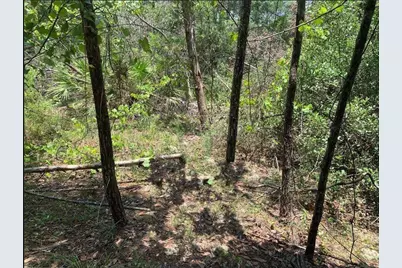 213 Kansas Street, Satsuma, FL 32189 - Photo 1