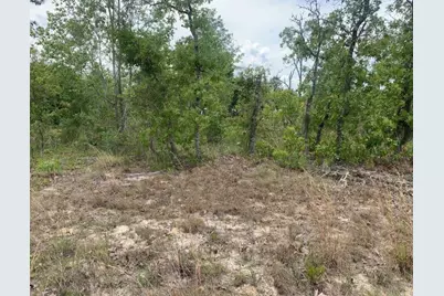 0 Monroe Street, Interlachen, FL 32148 - Photo 1