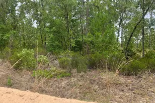 0 Miami St, Interlachen, FL 32148 - Photo 1