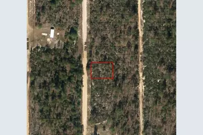 0 May Lane, Interlachen, FL 32148 - Photo 2