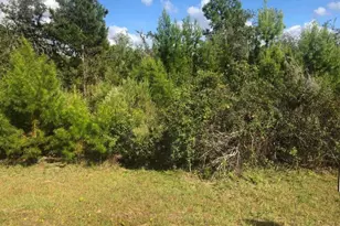 204 Usina Ave, Interlachen, FL 32148 - Photo 1