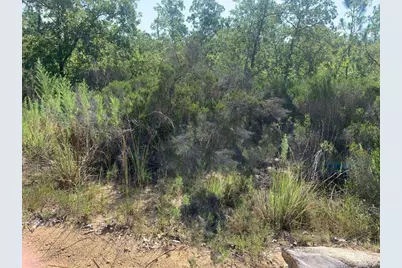 0 Manatee Street, Interlachen, FL 32148 - Photo 1