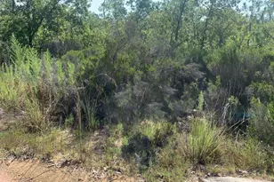 0 Manatee St, Interlachen, FL 32148 - Photo 1