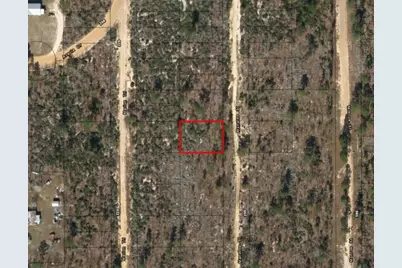 0 Manatee Street, Interlachen, FL 32148 - Photo 2