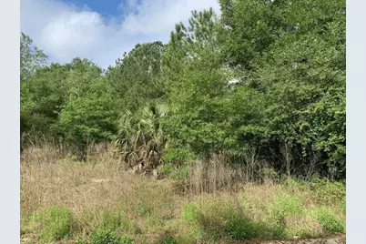 0 Douglas Drive, Interlachen, FL 32148 - Photo 1