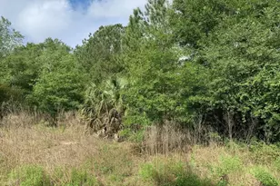 0 Douglas Dr, Interlachen, FL 32148 - Photo 1