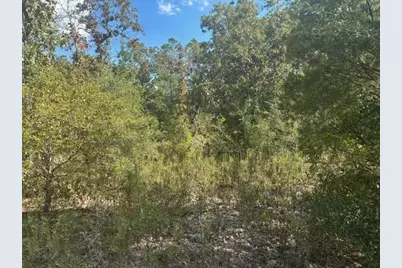 0 Nezperce Drive, Alford, FL 32420 - Photo 2