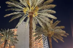 4100 Galt Ocean Dr, Fort Lauderdale, FL 33308 - Photo 62