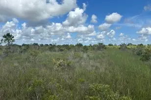 0 NW 318th St, Okeechobee, FL 34972 - Photo 1