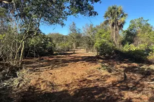 0 NW 296th St, Okeechobee, FL 34972 - Photo 1