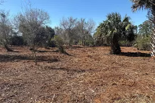 0 NW 304th St, Okeechobee, FL 34972 - Photo 1