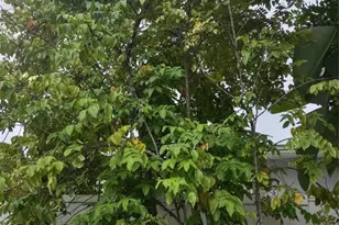 128 Miami Gardens Rd, West Park, FL 33023 - Photo 38