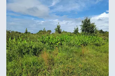 17275 NW 260th Street, Okeechobee, FL 34972 - Photo 1