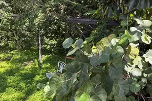 2109 Pinehurst Dr, West Palm Beach, FL 33407 - Photo 22