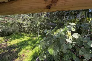 2109 Pinehurst Dr, West Palm Beach, FL 33407 - Photo 18