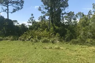 0 Holopaw Groves Rd, Saint Cloud, FL 34772 - Photo 1