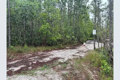 0 Holopaw Groves Road, Saint Cloud, FL 34772 - Photo 2