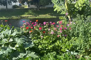 735 NW 73rd Terrace, Margate, FL 33063 - Photo 38