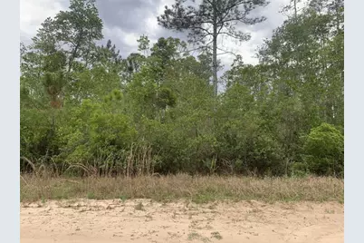 0 W Basford Street, Interlachen, FL 32148 - Photo 1