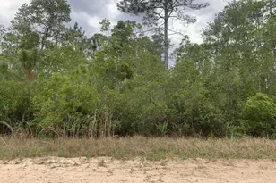 0 W Basford St, Interlachen, FL 32148 - Photo 1