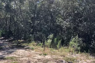 0 Oregon St, Interlachen, FL 32148 - Photo 1