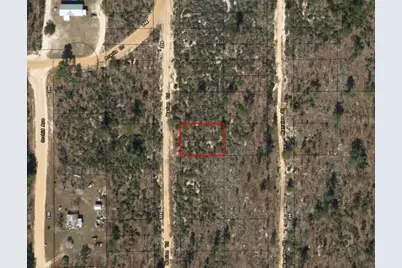 214 Marion Trail, Interlachen, FL 32148 - Photo 2