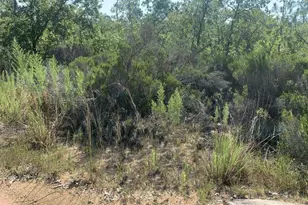 214 Marion Trail, Interlachen, FL 32148 - Photo 1