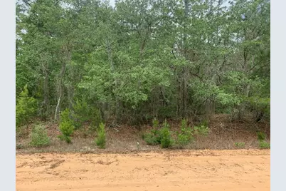 0 David Avenue, Interlachen, FL 32148 - Photo 1