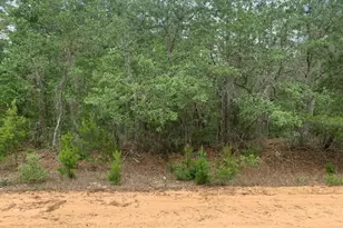 0 David Ave, Interlachen, FL 32148 - Photo 1