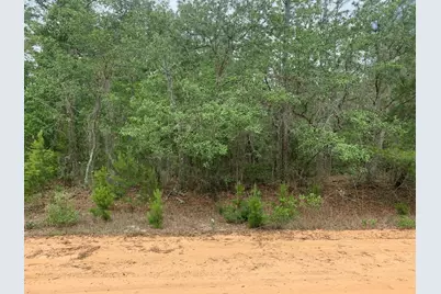 0 David Avenue, Interlachen, FL 32148 - Photo 1