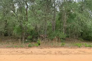 0 David Ave, Interlachen, FL 32148 - Photo 1