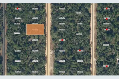 0 David Avenue, Interlachen, FL 32148 - Photo 2