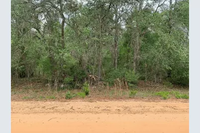 0 David Avenue, Interlachen, FL 32148 - Photo 1