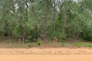 0 David Ave, Interlachen, FL 32148 - Photo 1