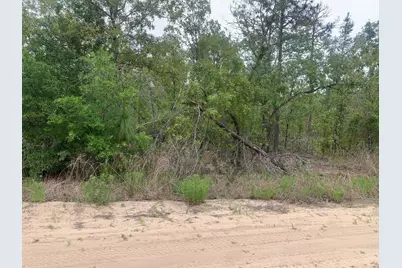 0 May Lane, Interlachen, FL 32148 - Photo 1