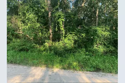 0 Ida Boulevard, Interlachen, FL 32148 - Photo 1