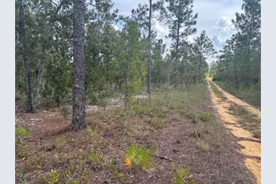 0 Gray Street, Interlachen, FL 32148 - Photo 2