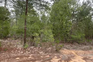 0 Gray St, Interlachen, FL 32148 - Photo 1