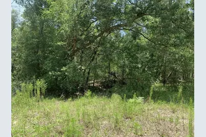 0 Oklahoma Avenue, Satsuma, FL 32189 - Photo 1