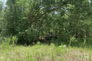 0 Oklahoma Ave, Satsuma, FL 32189 - Photo 1