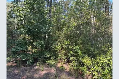 0 SE 8th Avenue, Palatka, FL 32177 - Photo 1