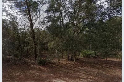 917 David Avenue, Interlachen, FL 32148 - Photo 2