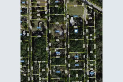 16407 NE 51, Citra, FL 32113 - Photo 2