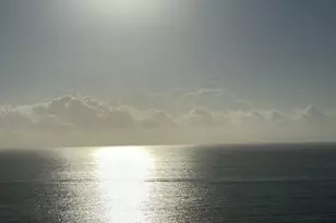 111 Briny Ave Unit, Pompano Beach, FL 33062 - Photo 54