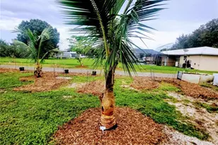 136 SW 85th Ave, Okeechobee, FL 34974 - Photo 42