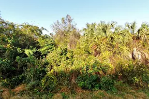 Lot 14 Halo Ave, North Port, FL 34288 - Photo 1