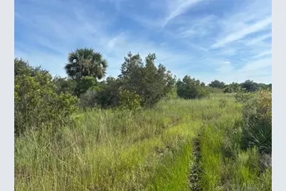 0 NW 310th Street, Okeechobee, FL 34972 - Photo 2