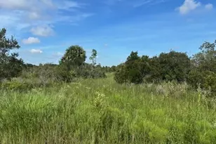 0 NW 310th St, Okeechobee, FL 34972 - Photo 1