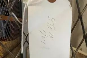 1025 Country Club Dr, Margate, FL 33063 - Photo 30